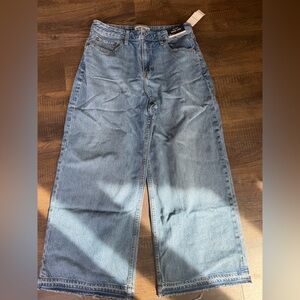Abercrombie & Fitch Light Blue Wide Leg Jeans
